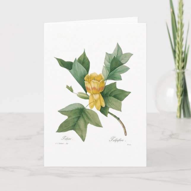 Carte Tulipe (Devant)