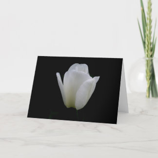 Carte Tulipe Blanche
