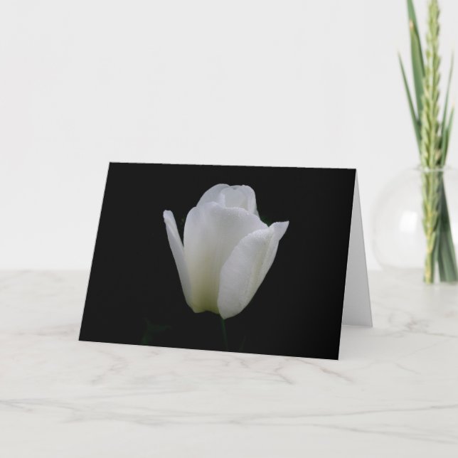 Carte Tulipe blanche (Devant)