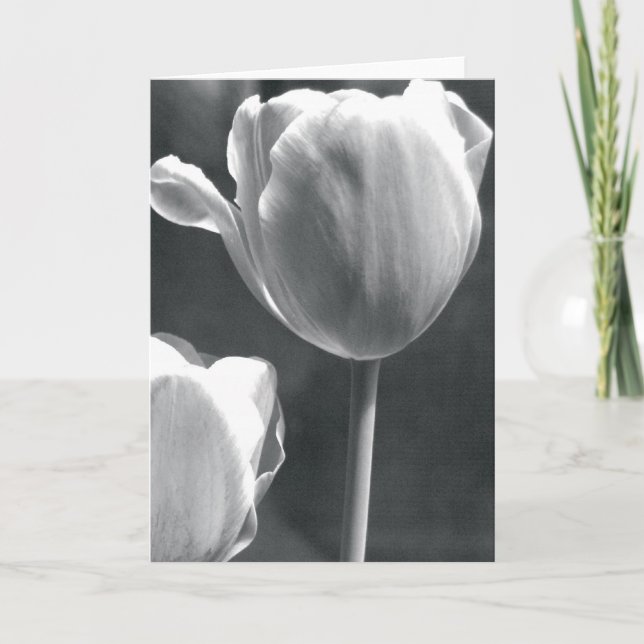 Carte Tulipe en noir et blanc (Devant)
