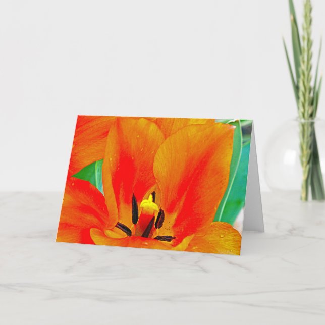 Carte Tulipe orange (Devant)