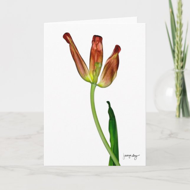 Carte "Tulipe" par J. Maya Luz (Devant)