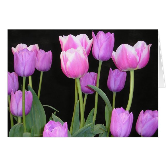 Carte Tulipe rose (Devant horizontal)