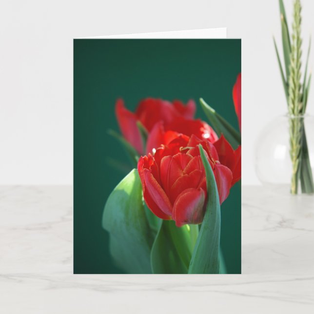 Carte Tulipe rouge (Devant)