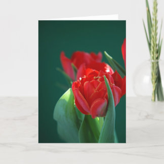 Carte Tulipe rouge