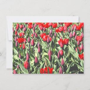 Carte tulipe rouge