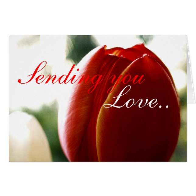 Carte Tulipe Rouge Amour (Devant horizontal)
