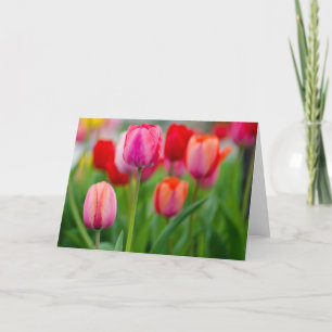 Carte Tulipes