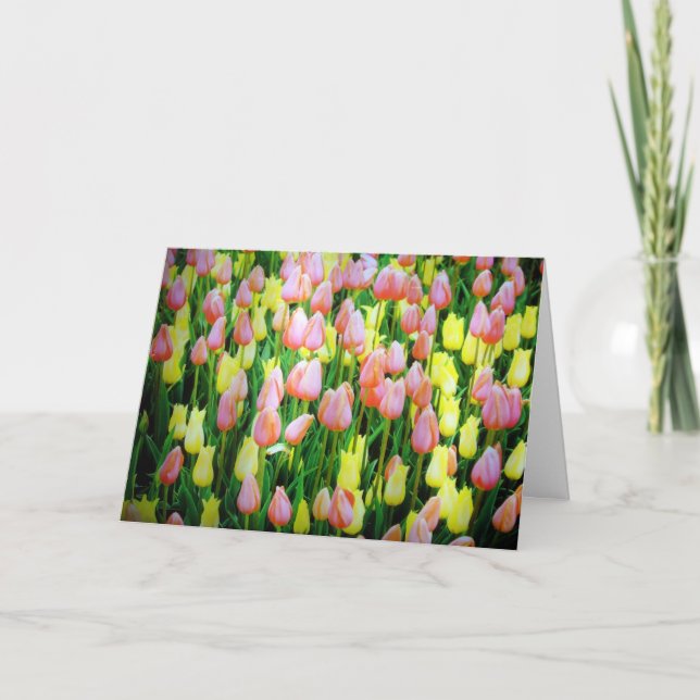 Carte tulipes (Devant)