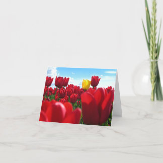 Carte Tulipes