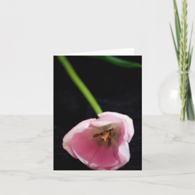 Carte Tulipes 3272 (Devant)