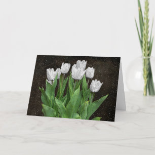Carte Tulipes blanches avec Raindrops Sympathie