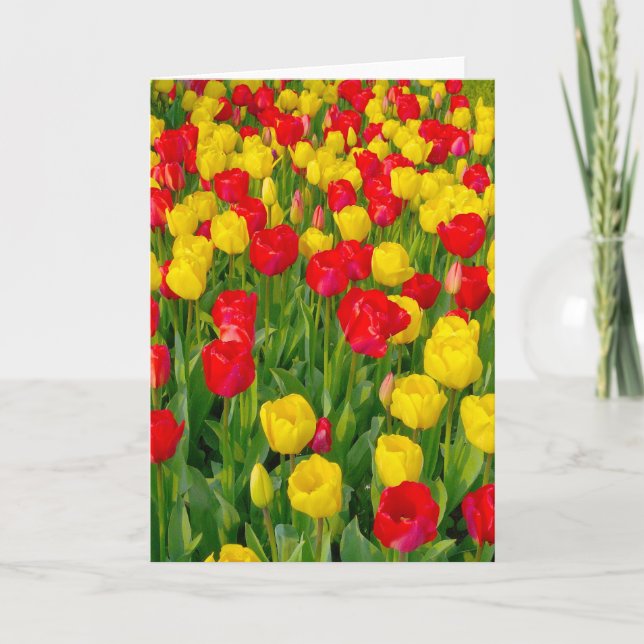Carte Tulipes colorées III - Verticale (Devant)