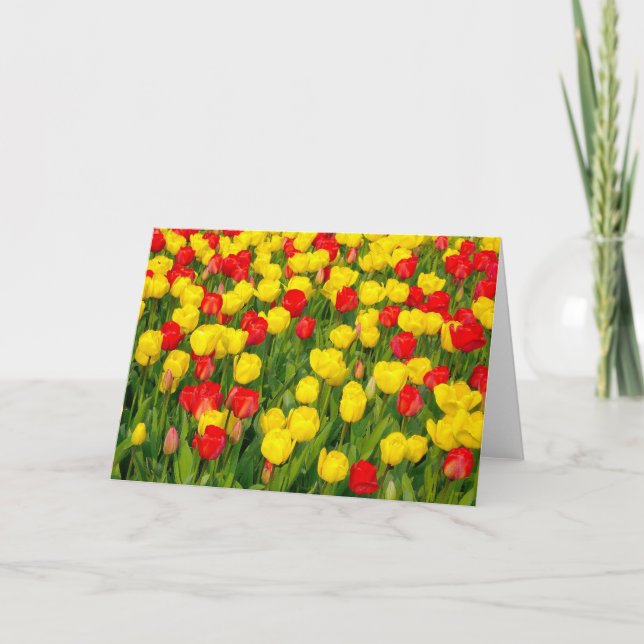 Carte Tulipes colorées IV (Devant)
