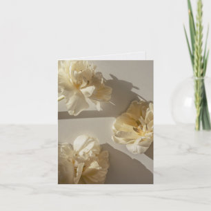 Carte Tulipes Crème Élégantes dans une lumière chaude, S