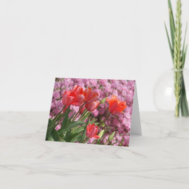 Carte Tulipes de printemps (Devant)