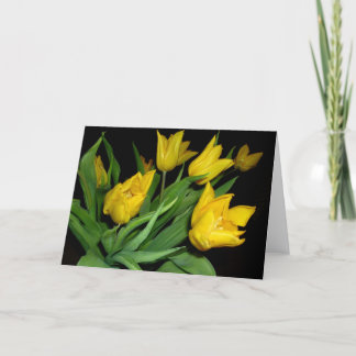 Carte Tulipes jaunes