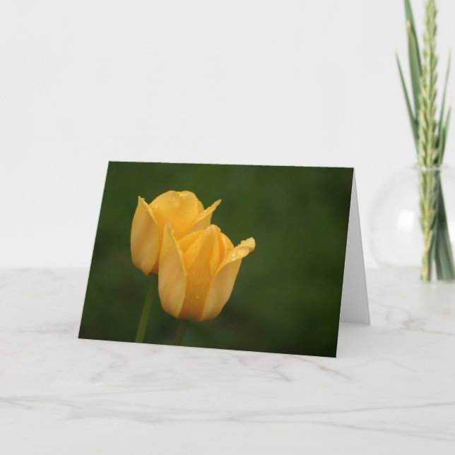 Carte Tulipes jaunes (Devant)