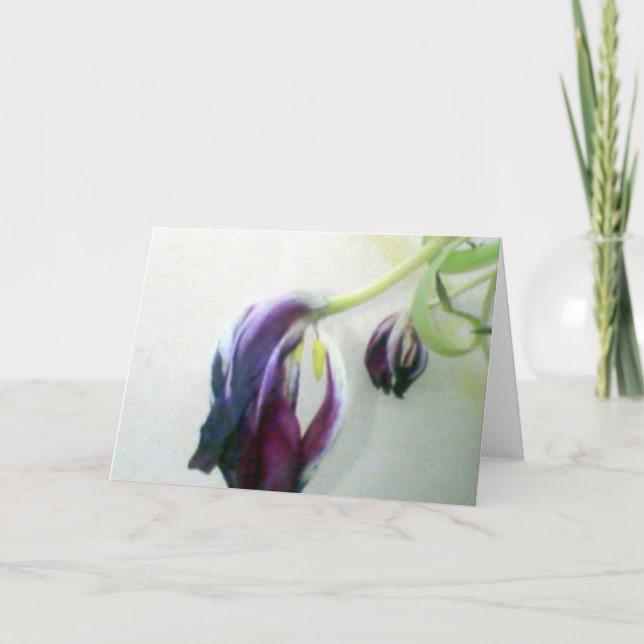 Carte Tulipes mortes (Devant)