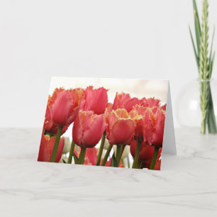 Carte Tulipes photo   Corail et Gold Fringed