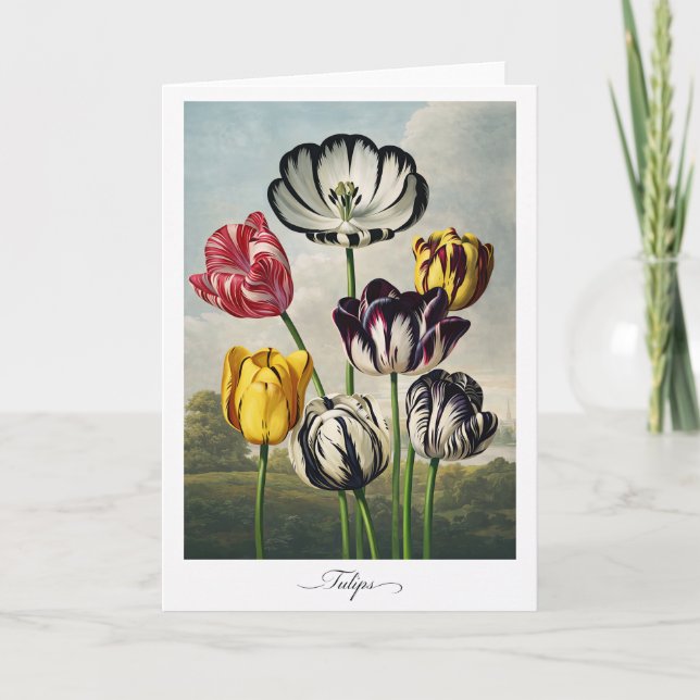 Carte Tulipes — Réinterprétation botanique moderne (Devant)