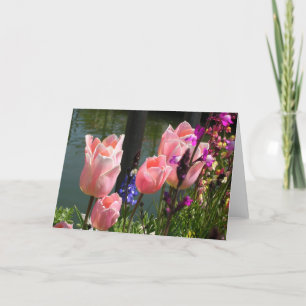 Carte Tulipes roses