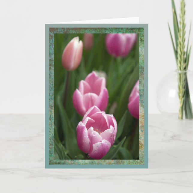 Carte Tulipes roses avec gouttes (Devant)