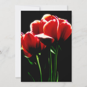 Carte Tulipes rouges