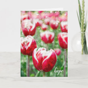 Carte tulipes rouges avec des gouttes de pluie sur la fe