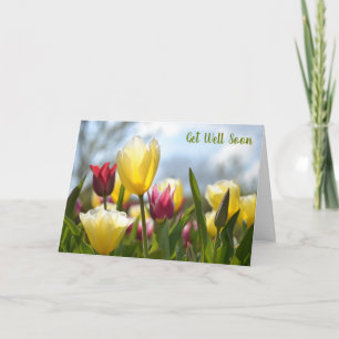 Carte Tulipes rouges, jaunes et roses au soleil se porte