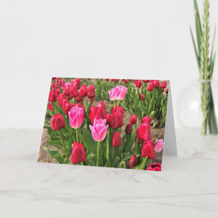Carte Tulips