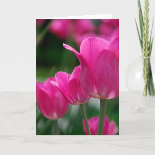 Carte Tulips (Devant)