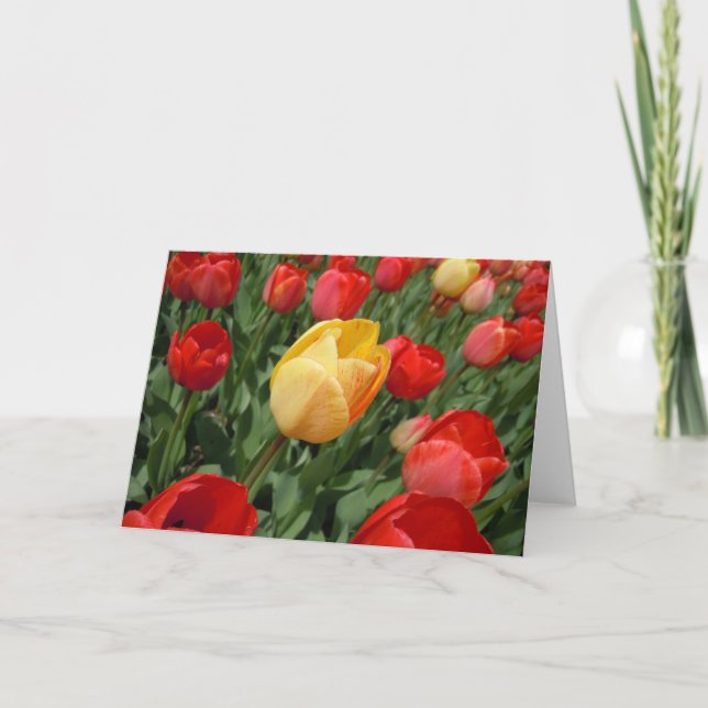 CARTE TULIPS (Devant)