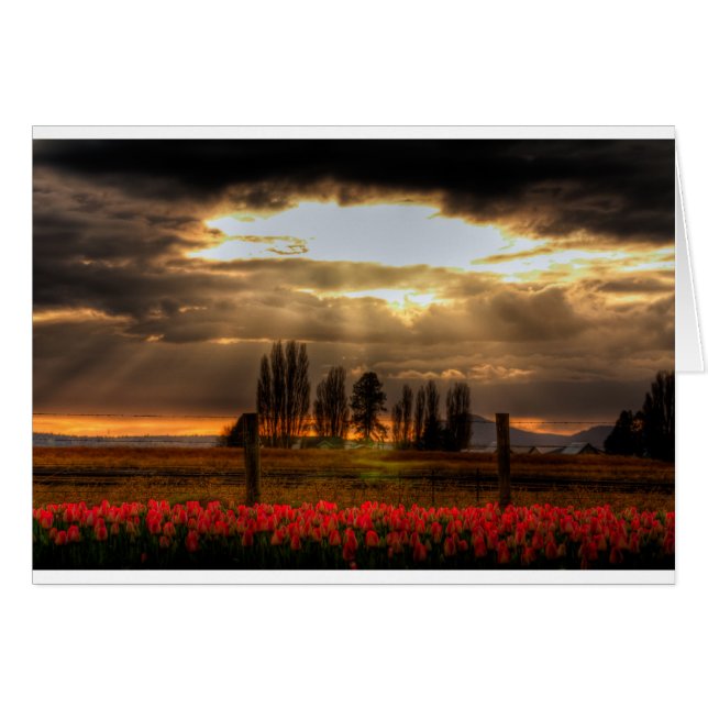 Carte Tulips adorée (Devant horizontal)