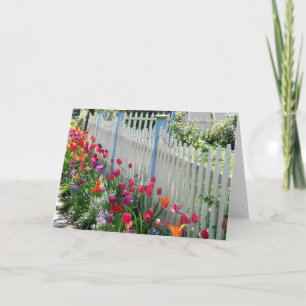 Carte Tulips Garden Along White Picket Fence Photo