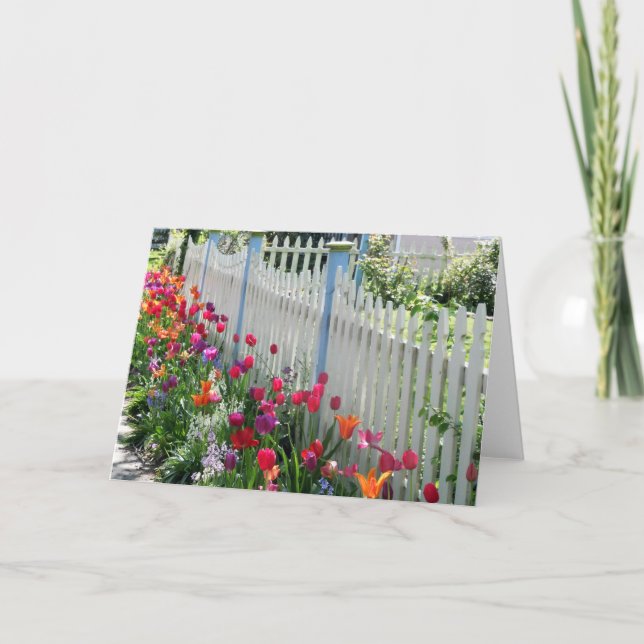 Carte Tulips Garden Along White Picket Fence Photo (Devant)