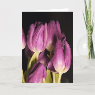 Carte Tulips violet
