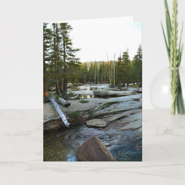 Carte Tuolumne river by campground, yosemite, CA (Devant)