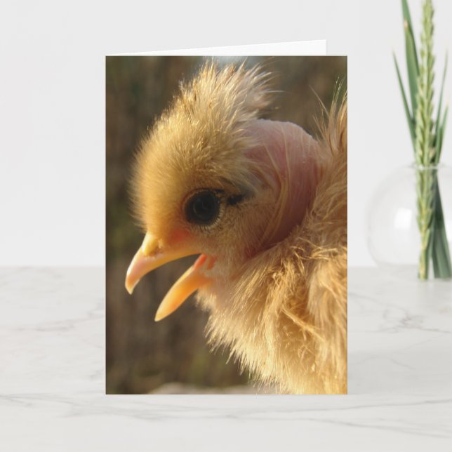 Carte Turin Chick (Devant)
