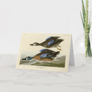 Carte Turquoise à ailes bleues d'Audubon's Birds of Amer