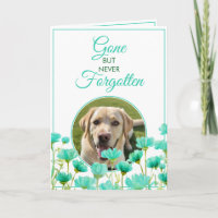 Turquoise Floral moderne Perte d'animal de compagn