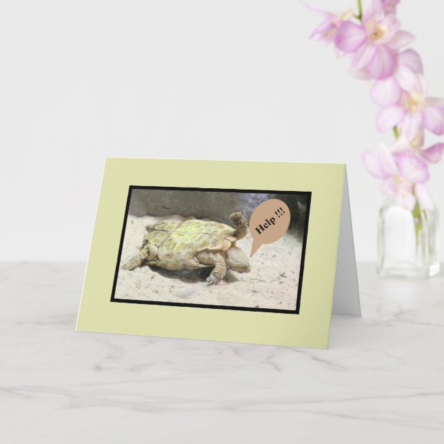 CARTE TURTLE FLIPPED OVER/SORRY À PROPOS DE VOTRE ACCIDE (Orchidée)