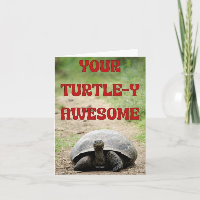 Carte Turtley Awesome Anniversaire Voeux pour une Etoile (Devant)