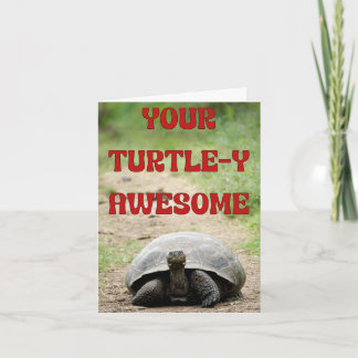 Carte Turtley Awesome Anniversaire Voeux pour une Etoile