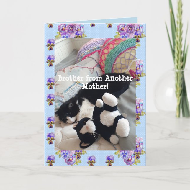 Carte Tuxedo Cat Cute Funny Brother Cats Card (Devant)