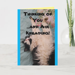 Carte Tuxedo Cat Cute Funny Quote Air Kneading Card