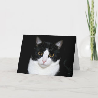 Carte Tuxedo kitty