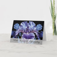 *~* TV2 Une FLEURS IRIS Sympathy Love Light