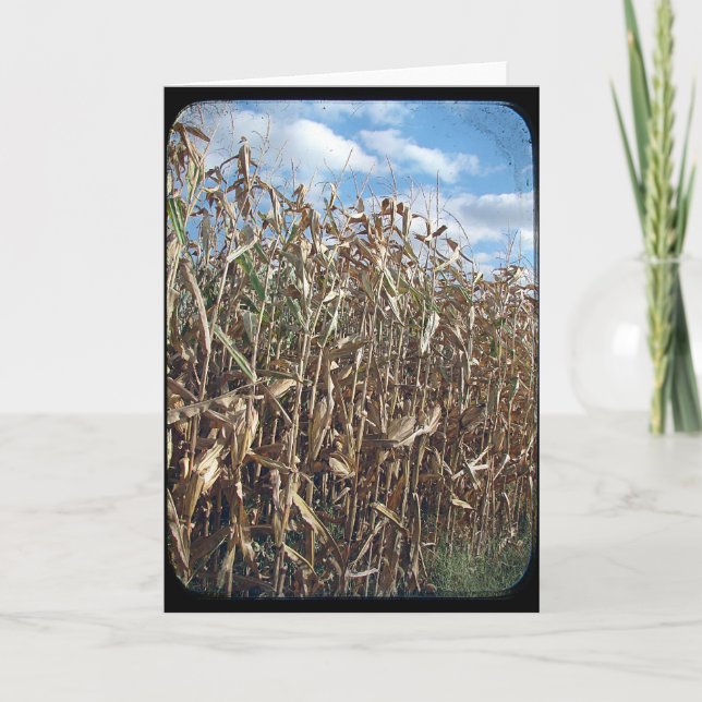 Carte TV sur le terrain de maïs (Devant)