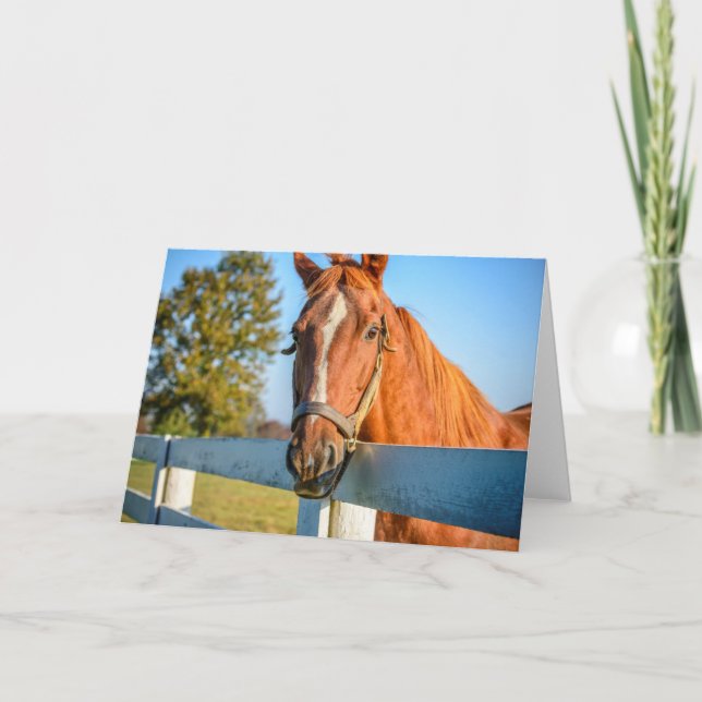 Carte Twilight Rose | Cheval de course Pur-sang (Devant)